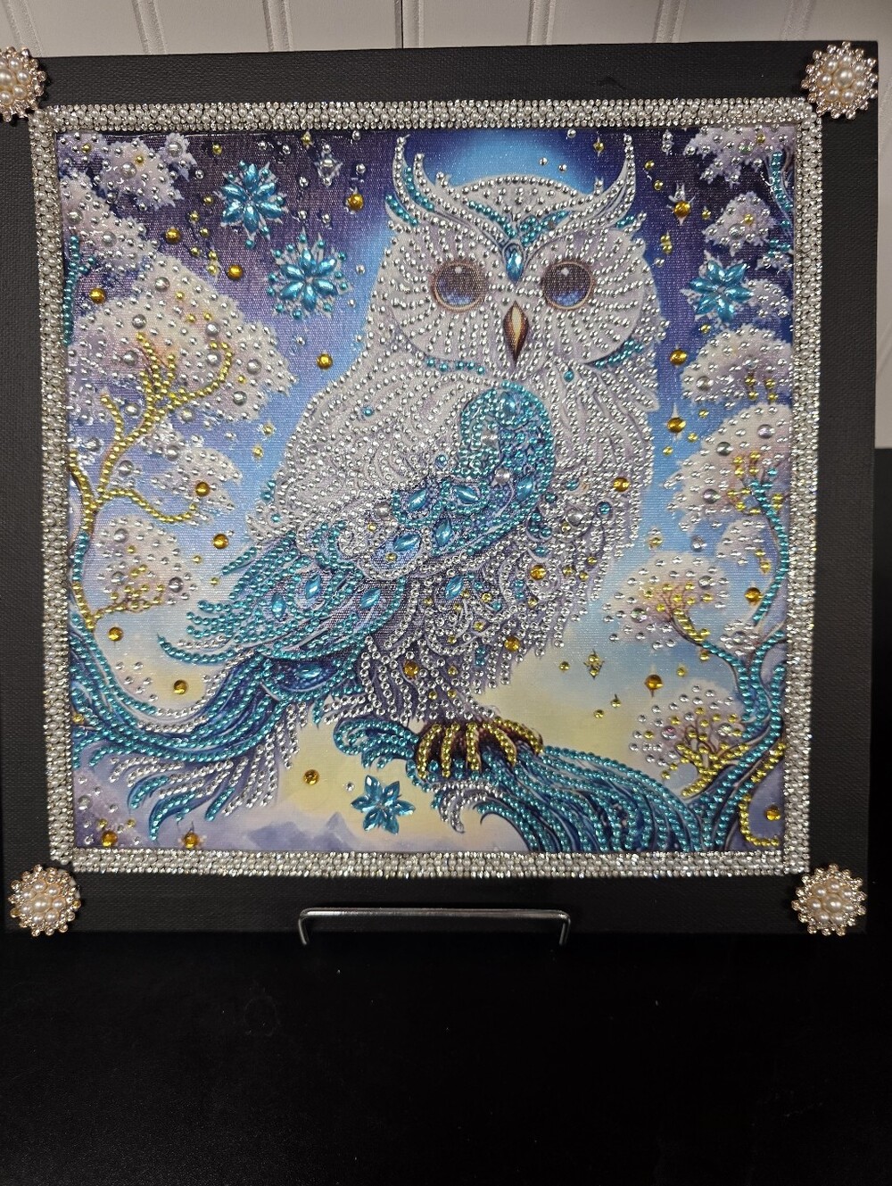 Such A Hoot Rhinestone Artwork